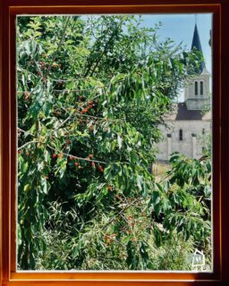 Tableau végétal dans la cabotte bleue 🖼️
---
Vegetal painting in the bleue cabotte 🖼️

📍 Hautes Côtes de Beaune
📲 Réservations : lien direct dans la bio