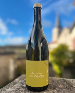 Ok, on n'était pas prêts pour l'engouement autour de notre Cuvée des Cabottes @hoffmanndemangeot x @lescabottes sortie avant l'été (merci à vous !). On a donc renfloué les stocks en rouge MAIS ce n'est pas la seule bonne nouvelle : après le pinot noir, c'est l'aligoté que nous avons décidé de mettre à l'honneur dans cette nouvelle Cuvée des Cabottes, en blanc cette fois-ci donc 🍇
*L'abus d'alcool est dangereux pour la santé à consommer avec modération
---
Ok, we were definitely not ready for our Cuvée des Cabottes @hoffmanndemangeot x @lescabottes craze (thanks a lot!). Good news: it is back AND we have decided to make a white version with Aligoté 🍇
*Alcohol abuse is dangerous for your health, consume in moderation

📍 Hautes Côtes de Beaune
📲 Réservations : lien direct en bio