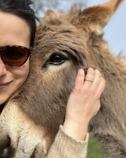 Cette semaine aux Cabottes :
• Cuddle therapy avec Rosie
• Réveil printanier
• Fournée du jour 
• Un soir de pleine lune
---
This week at Les Cabottes:
• Cuddle therapy with Rosie
• Spring awakening
• Batch of the day
• Full moon night