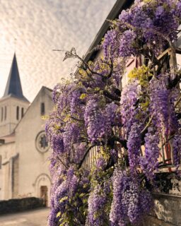 Cette semaine aux Cabottes :
・Petite beauté qui embaume 
・Lecture en apesanteur
・Devise quotidienne
・Bande son du moment
---
This week at Les Cabottes :
・Little beauty that perfumes all the street
・Reading in gravity
・Daily motto
・Soundtrack of the moment