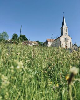 Cette semaine aux Cabottes :
・la petite maison dans la prairie
・réception sous haute surveillance
・quand la nature reprend ses droits
・jour/nuit
---
This week at Les Cabottes:
・little house on the prairie
・reception under close control
・when nature reclaims its rights
・day or night