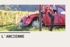 Tour of the Burgundy vineyards in a 2CV