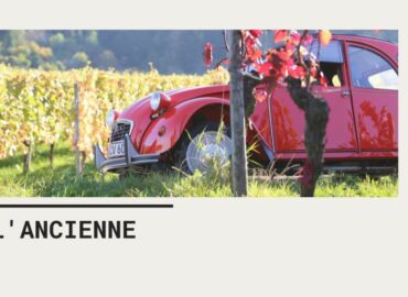 Découverte atypique du vignoble de Bourgogne en véhicule vintage