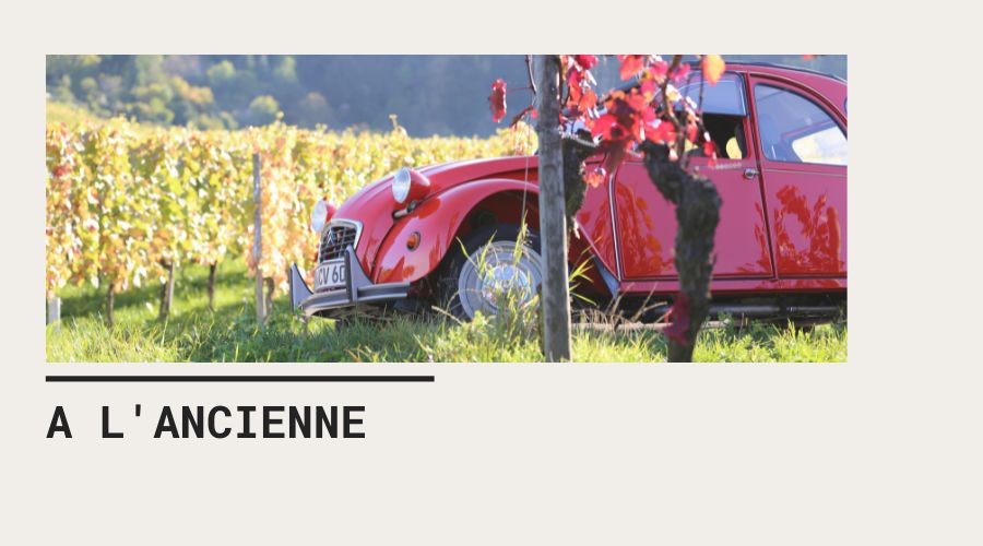 Découverte atypique du vignoble de Bourgogne en véhicule vintage