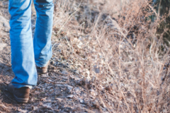 Wanderung auf dem Gipfel der Weinberge