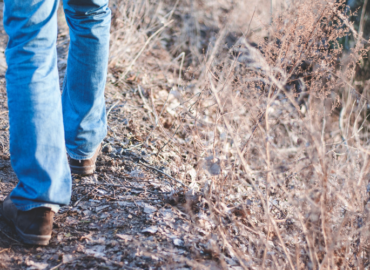 Wanderung auf dem Gipfel der Weinberge