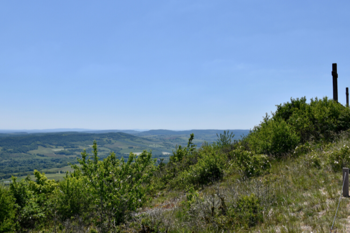 Wanderung auf dem Gipfel der Weinberge