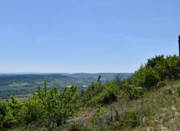 Wanderung auf dem Gipfel der Weinberge