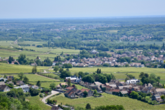 Wanderung auf dem Gipfel der Weinberge