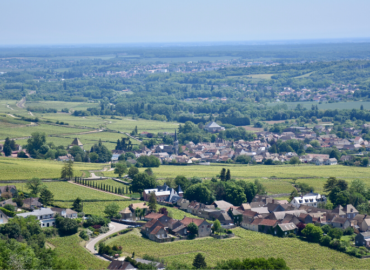 Wanderung auf dem Gipfel der Weinberge