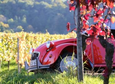 Découverte atypique du vignoble de Bourgogne en véhicule vintage