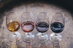 Dégustation de vins de la Côte de Beaune et des Maranges