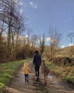 Cette semaine aux Cabottes :
• Promenade en bonne compagnie
• Affection débordante 
• Petite beauté du moment @atelierfloraldumondelot
• Les jolies décorations de la Saint-Vincent qui perdurent

---
This week at Les Cabottes :
• Walk in good company
• Overflowing affection
• Current beauty @atelierfloraldumondelot
• Saint-Vincent's souvenirs