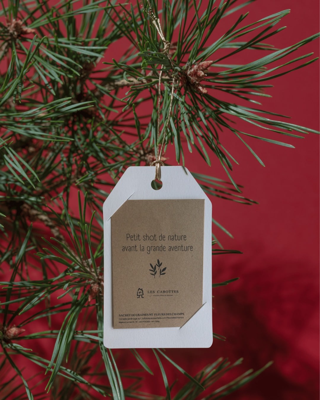 Et si vous glissiez nos jolis bons cadeaux sous le sapin cette année ? Sur-mesure ou déjà packagés, vous pouvez choisir celui qui correspond le mieux à la personne que vous avez envie de gâter. Pour les plus pressés, un bon à imprimer arrive en deux temps trois mouvements dans votre boîte mail. Vous pouvez également opter pour un envoi postal - des graines à planter, une jolie papeterie : le combo parfait pour offrir un présent physique en attendant la belle expérience 🎁
---
Let's put our gift vouchers under the Christmas tree! Customised or already packaged, you can choose the voucher that matches perfectly for the one you want to spoil. For the hurry guys, a printable will be sent in a sec' by mail. You can also choose a postal shipment - seeds to plant, a nice stationery : the best combo to offer a physical present, waiting for the great experience 🎁

📍 Hautes Côtes de Beaune
📲 Réservations : lien direct dans la bio
