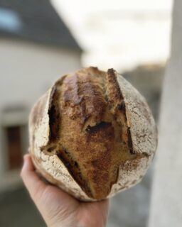 Cette semaine aux Cabottes :
• Pain au levain maison qui sort du four
• Livraison du dîner
• Bricolage à l'ancienne
• Vadrouille nocturne à Beaune
---
• Homemade fresh sourdough bread
• Dinner delivery
• Old-fashioned DIY
• Strolling in Beaune by night