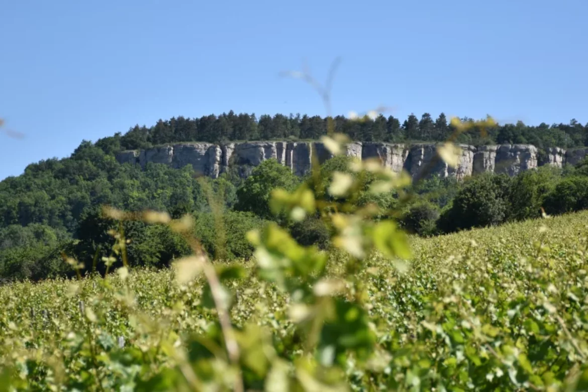 Escalade, randonnée : découvrez l’un des plus beaux sites naturels de Bourgogne