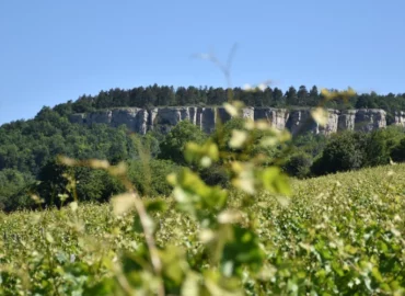 Escalade, randonnée : découvrez l’un des plus beaux sites naturels de Bourgogne