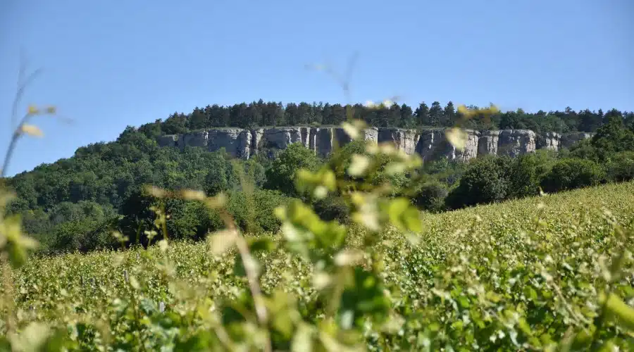 Escalade, randonnée : découvrez l’un des plus beaux sites naturels de Bourgogne