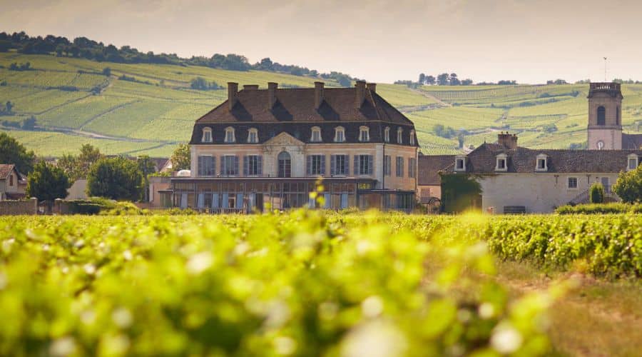 Les Cabottes x Le Château de Pommard