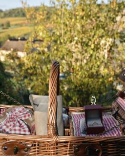 Quand une livraison de petit-déjeuner se transforme en un moment unique… Merci Maurice d’avoir choisi notre cabotte rouge pour faire LA demande. Bref vous l’aurez compris, nous sommes remplis d’amour aujourd'hui aux Cabottes ❣️
—
When the breakfast’s delivery turns into an incredible moment… Thanks Maurice for choosing our red tiny house to make THE proposal. Well you got it, we are full of love today at Les Cabottes ❣️

📍 Hautes Côtes de Beaune
📲 Réservations : lien direct dans la bio