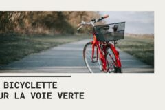 Location de vélos électriques pour explorer la voie verte entre Santenay et Beaune