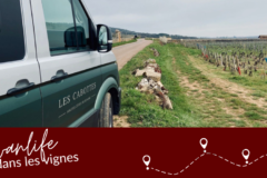 Roadtrip en Bourgogne part II – itinéraire en van dans le vignoble de la Côte de Nuits