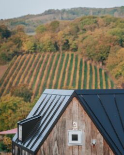 Les derniers jours pour profiter de cette beauté 🍁
---
Last days to enjoy this beauty 🍁

📍 Hautes Côtes de Beaune
📲 Réservations : lien direct dans la bio
📷 @lorenecreuzotphotographie