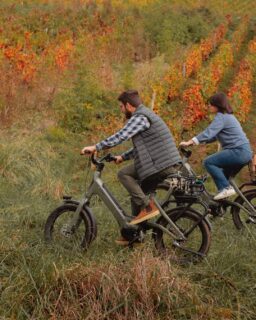 Vous nous demandez souvent quelle est la meilleure saison pour venir nous voir ; on doit avouer que l'automne est sûrement notre préférée 🍁 Les températures sont douces à souhait, les couleurs des paysages sont incroyables... le temps suspend sa course pour pouvoir déconnecter et profiter. Le programme parfait ? Arpenter le vignoble en vélo électrique avant de déguster un verre de Chardonnay dans le bain nordique, se régaler avec notre dîner maison livré à demeure puis profiter d'une bonne nuit de sommeil réparatrice... 
---
You often ask us the best time of year to visit; we have to admit that autumn is surely our favorite 🍁 The temperatures are delightfully mild, the landscape’s colors are incredible... time seems to stand still, allowing you to unplug and simply enjoy the moment. The perfect itinerary? Cycling through the vineyards on an e-bike before sipping a glass of Chardonnay in the Nordic hot tub, indulging in our homemade dinner delivered right to your door, and then enjoying a good, restorative night's sleep...

📸 @jerome.henon6 & @lorenecreuzotphotographie
