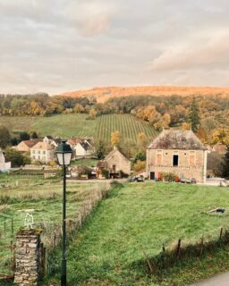 Entre automne et hiver, cette vue qui nous régale chaque jour évolue au fil des saisons comme le plus beaux des tableaux 🖼️
---
Between autumn and winter, this delightful view change throughout seasons as the most beautiful painting 🖼️

📍 Hautes Côtes de Beaune
📲 Réservations : lien direct dans la bio