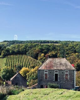 Quand la magie opère... Chaque année, c'est le même émerveillement quand les couleurs d'automne s'installent. Quand le vert tendre des arbres se mêle au doré puis au rouge des feuilles de vigne, c'est un tableau qui prend vie sous nos yeux et surtout sous ceux de nos voyageurs. Vous nous demandez souvent quelle est la meilleure saison pour venir nous voir : l'automne est certainement l'une de nos préférées. Si vous voulez en profiter, il nous reste quelques disponibilités pour les vacances de la Toussaint 🍁
---
When the magic happens... Each year, it's the same wonder when autumn's colors appear. When the soft green of the trees melts with the gold and red of the vineyards, it's a real painting that comes to life under our eyes and yours. You are used to asking us which one is the best season to visit Les Cabottes: autumn is certainly one of our favorites. Lucky you: if you want to enjoy it, there is some availability for the next holidays 🍁

📍 Hautes Côtes de Beaune
📲 Réservations : lien direct dans la bio