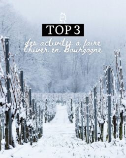Les vacances battent leur plein - on vous glisse 3 jolies idées pour découvrir la Bourgogne hivernale, celle qui donne autant envie d'admirer ses paysages bucoliques que de savourer ses délices gastronomiques & œnologiques ❄️
---
Holidays' time! Let's discover our 3 nice ideas to discover winter in Burgundy, admiring its great landscapes and enjoying its tasty & winy treasures ❄️

📍 Hautes Côtes de Beaune
📲 Réservations : lien direct dans la bio
📷 @jerome.henon6