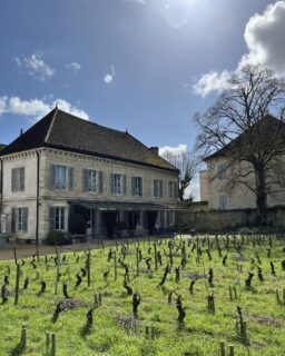 Cette semaine aux Cabottes :
• Un bien joli salon @bio_rencontres 
• Un bien joli mot, merci @libellule_des_vignes
• Ces deux-là... 🥰
• Confiture en devenir
---
This week at Les Cabottes :
• A really nice wine fair @bio_rencontres 
• A really nice review, thanks @libellule_des_vignes
• These two... 🥰
• Jam in progress